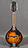 Fender Mandoline