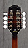 Fender Mandoline