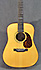 Martin Americana's Guitar Guitar 175th anniversary 170 of 175