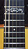 Martin Americana's Guitar Guitar 175th anniversary 170 of 175