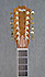 Taylor 456ce SLTD