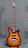 PRS 305 25th Anniversary