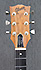 Gibson SG Firebrand