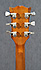 Gibson SG Firebrand