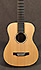 Martin DX1