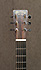 Martin DX1