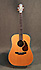 Takamine AN-10