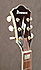 Ibanez PM-35 Pat Metheny