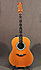 Ovation 1617