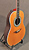 Ovation 1617