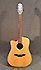 Takamine EG510SC