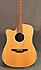 Takamine EG510SC