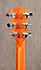 Taylor 414ce