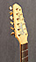 Godin LR Baggs 12 cordes