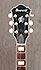 Ibanez AF TDG