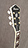 Ibanez AF TDG