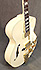 Ibanez AF TDG