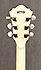 Ibanez AF TDG