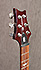 PRS SE Standard 22