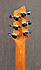 Godin A6