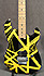 EVH Stripe