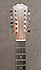Taylor 356ce