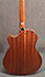 Taylor 356ce