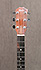 Taylor 210