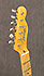 Fender Custom Shop Ltd Blackguard Thinline Tele