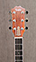 Taylor 410-R