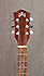 Guild D-125 GAD