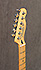 Fender Telecaster Player Road Worn