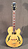 Ibanez PM 20 Pat Metheny