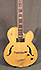 Ibanez PM 20 Pat Metheny