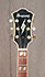 Ibanez PM 20 Pat Metheny