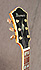 Ibanez PM 20 Pat Metheny