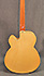 Ibanez PM 20 Pat Metheny