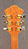 Ibanez PM 20 Pat Metheny