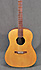 Vendramini Folk Dreadnought