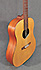 Vendramini Folk Dreadnought