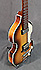 Hofner 500/1