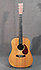 Martin DX1