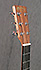 Martin DX1