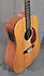 Martin DX1