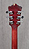 Guild D-50 Bluegrass Special de 1973