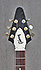 Gibson Flying V Ltd de 2000