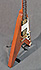 Gibson Flying V Ltd de 2000