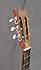 Dell Arte Leadbelly 6 cordes