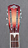 Delta Brass Body Tricone