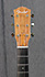 Fender ESD-10